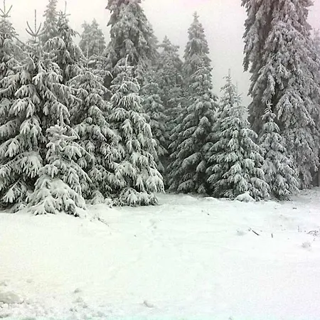 Hotel Land-hotel Am Wald Garni Greiz