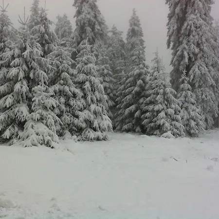 Hotel Land-hotel Am Wald Garni