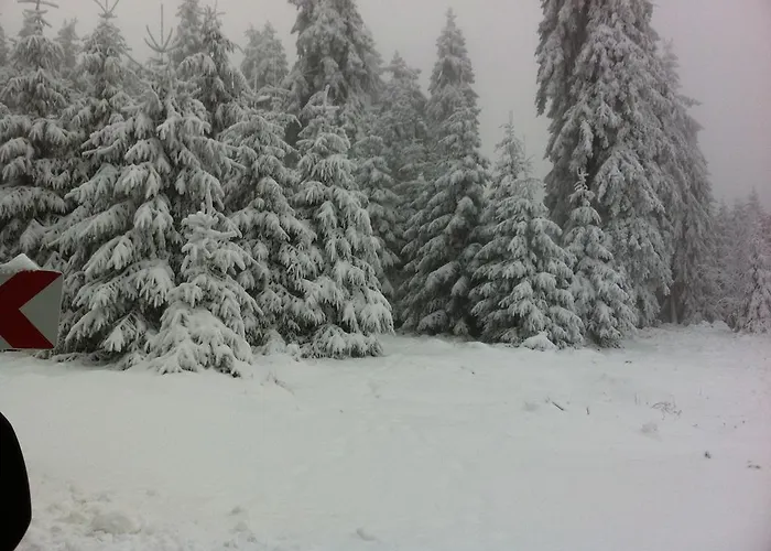 Otel Land-hotel Am Wald Garni